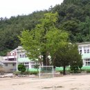 장기초교 이미지