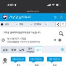 하루와이틀 이미지