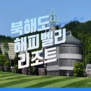 챔피언여행사 이미지