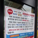 정김밥 | 오는정김밥 후기｜제주 김밥맛집, 예약방법·취식 장소 한 번에 정리