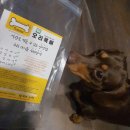 얌얌이푸드 이미지