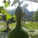 화서휴게소 이미지