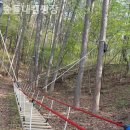 숲들내캠핑장 이미지