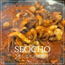남부터미널맛집 : 철판쭈꾸미 인생 맛집인 서초명가 서초본점 후기!