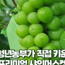 샤인마켓
