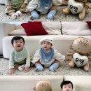 스테이지산 이미지