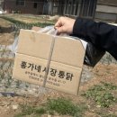 홍가네농장 | “홍가네시장통닭” 내돈내산 솔직후기