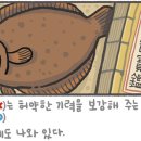 [예쁜 말 바른 말] '가자미'와 '가재미' 이미지