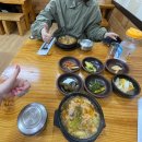 또봄이네 | 파란만장한 봄이네요