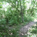 송원고등학교 이미지