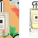 라임헤어 이미지