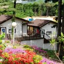 곰 펜션 이미지