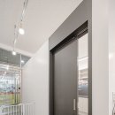 고양이미용실 이미지