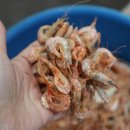 양동건어물시장 이미지