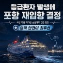 “1천명 불편보다 1명 목숨 택했다”...울릉행 여객선 긴급 유턴에 지역사회 울림 이미지