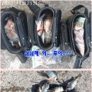 신신낚시신항만점