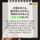 리드인독서논술 이미지