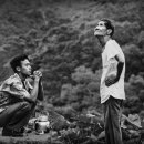 연연풍진 이미지