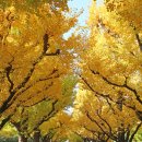 스카이시티투어 이미지