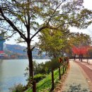 호미골체육공원 이미지