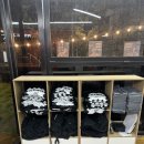 피트니스382 이미지