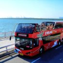 수정시흥-D-9 이미지