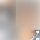 야시디팡 이미지