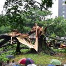 대동강주유소 이미지