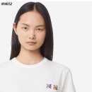 코튼폭스 이미지