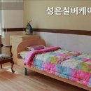 성은수지 이미지