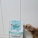 펫츠다이닝(pet's dining) 이미지