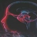 (건강관리 정보) 돈 들이지 않고 손쉽게 하는 치매 예방법 이미지