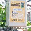 맘꽃가든 이미지