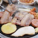 절대생고기 이미지