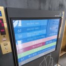 MEDI FLOWER 147 이미지