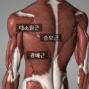 더멋짐 이미지