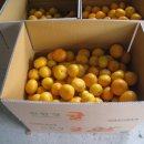 주신농장 이미지