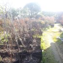 푸른산농장 이미지