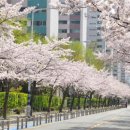 지방도 1042호 이미지