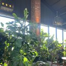 그린보드 이미지