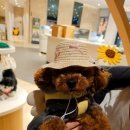 어서오시개 이미지