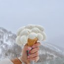 삿포로 4박5일 ) 홋카이도 호시노 리조트 운카이테라스 카페 후기