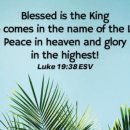 Bible Reading - Luke 19:33~40 이미지