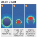 동강시스템 이미지