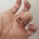 네일톡톡 | 네일톡톡 AI 네일 범계직영점 후기/서울에서 안양까지 갔다가 실망만 하고 왔어요