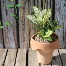 행운슈퍼 이미지