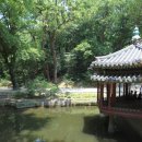 연못들4 이미지