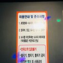 부천 상동 실내낚시터 낚시에 반하다 후기