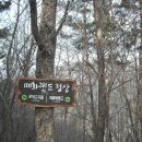 매화랜드