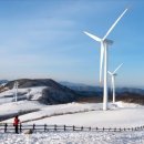 명성목장 이미지